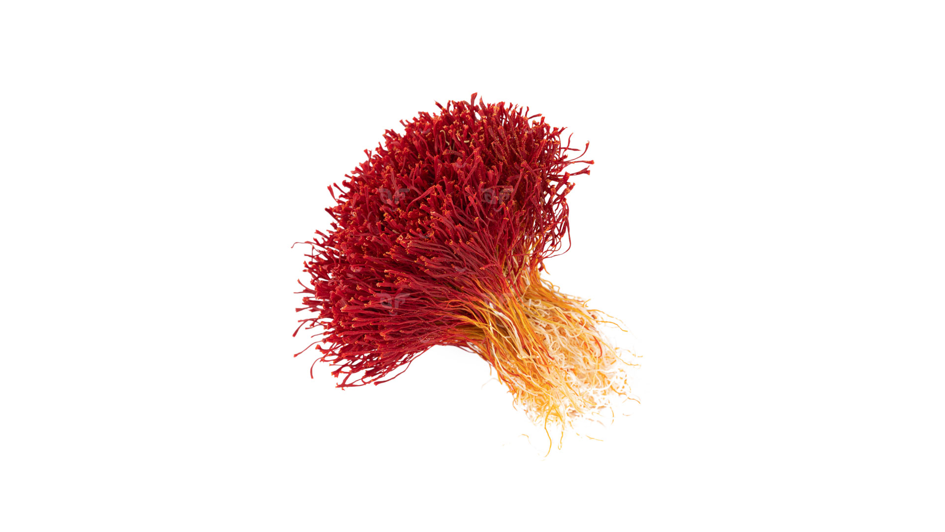 Bunch Saffron