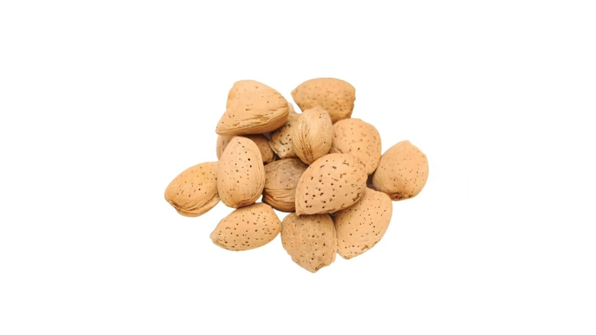 Mamra Almond – In shell